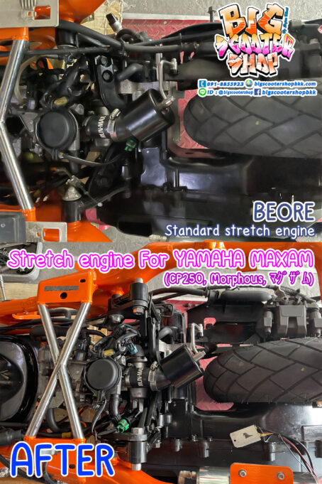 Long Stretch mount engine for YAMAHA MAXAM (CP250, Morphous)